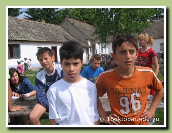 Slika 12